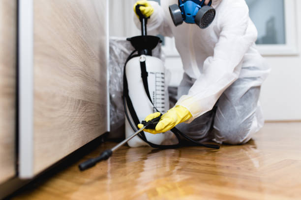 Best Affordable Pest Control Services  in Highland, KS