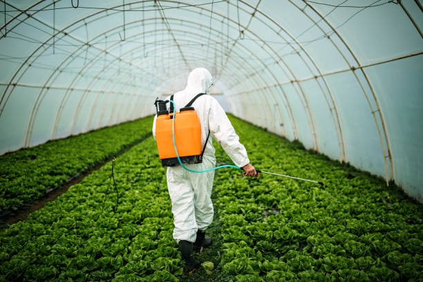 Pest Control Cost in Highland, KS