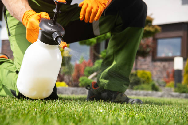 Best Pest Control for Homes  in Highland, KS