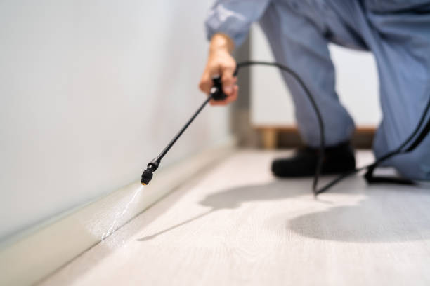 Best Wasp Removal Services  in Highland, KS