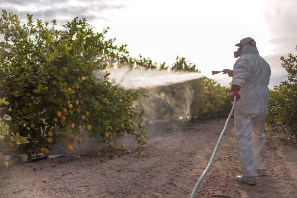 Best Residential Pest Control  in Highland, KS