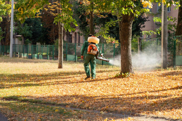 Best Bed Bug Extermination  in Highland, KS