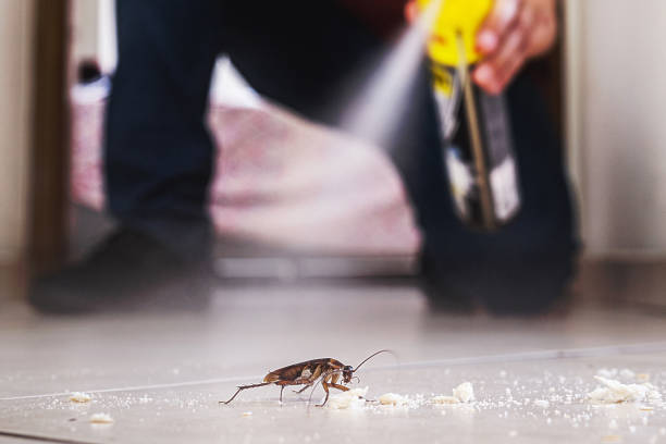Best Pest Control Cost  in Highland, KS