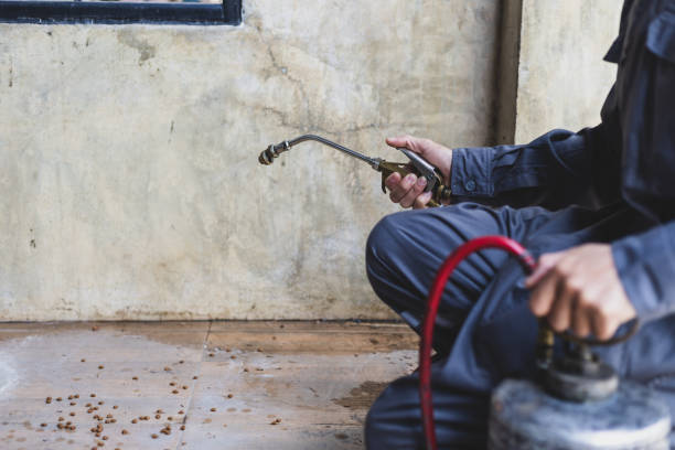 Best Affordable Exterminators  in Highland, KS