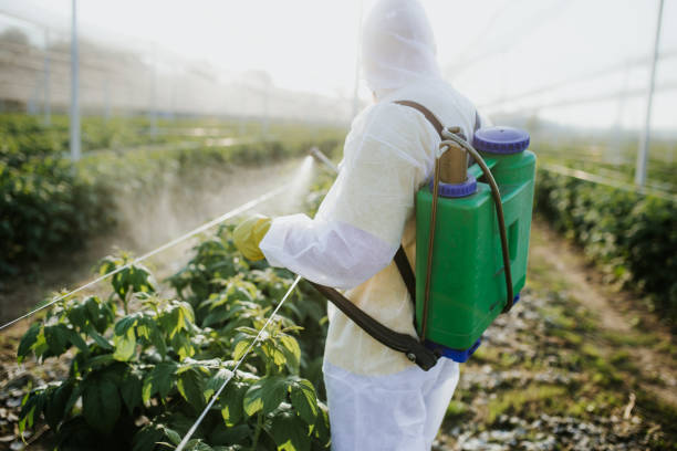 Trusted Highland, KS Pest Control Experts